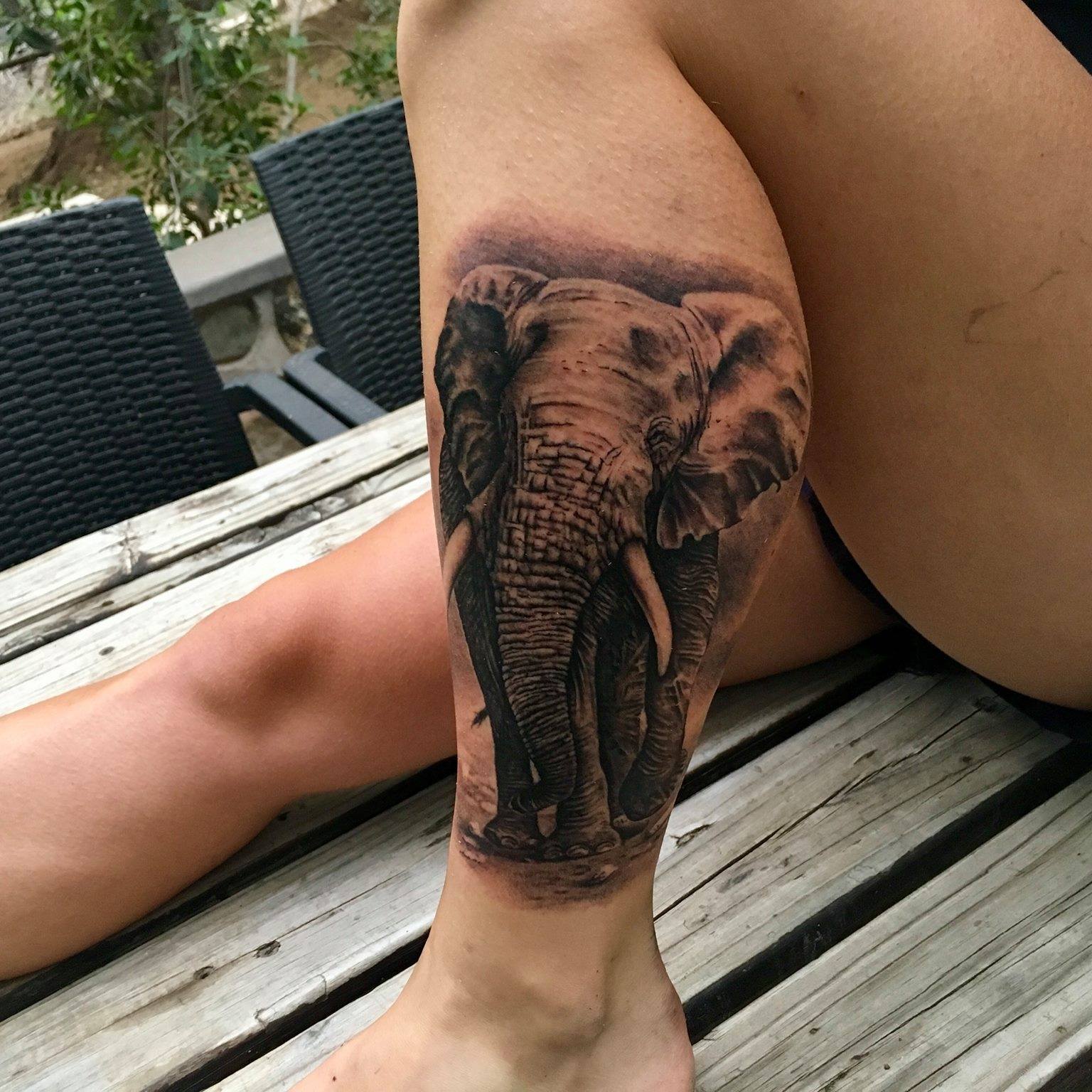 Annas Elephant