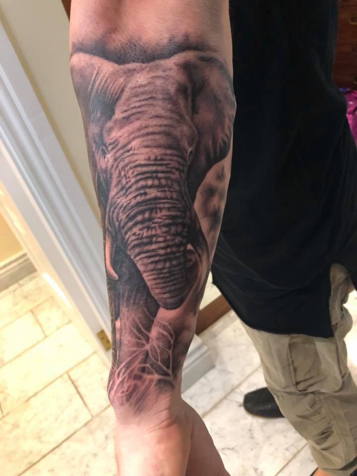 Arm Elephant