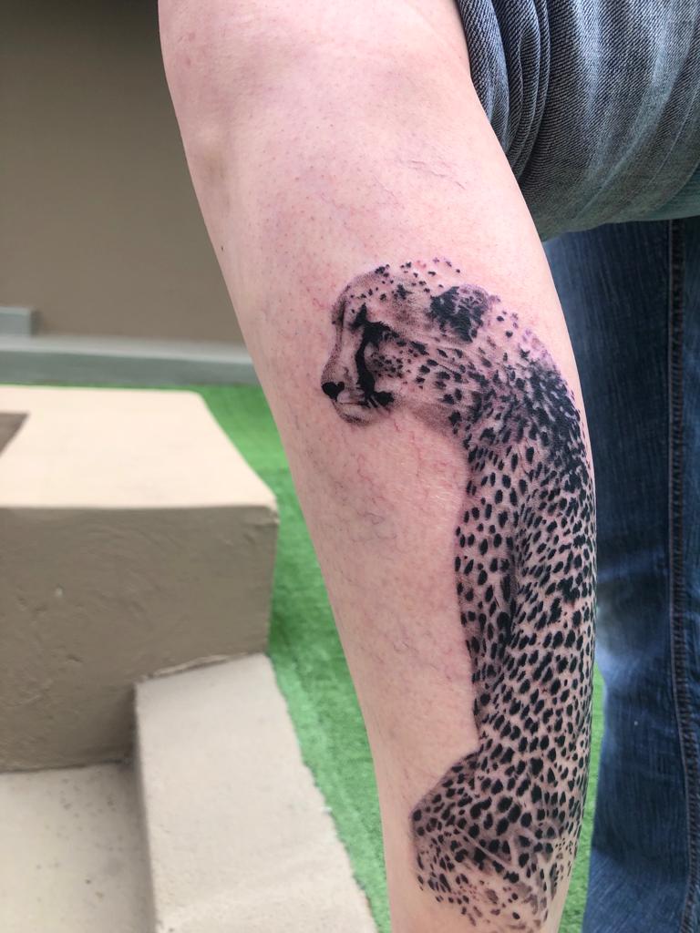 Cheetah