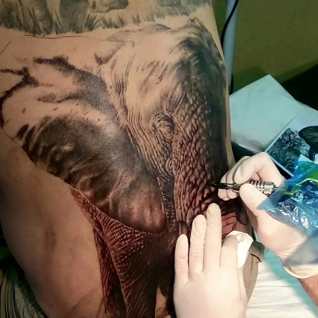 Elephant Back