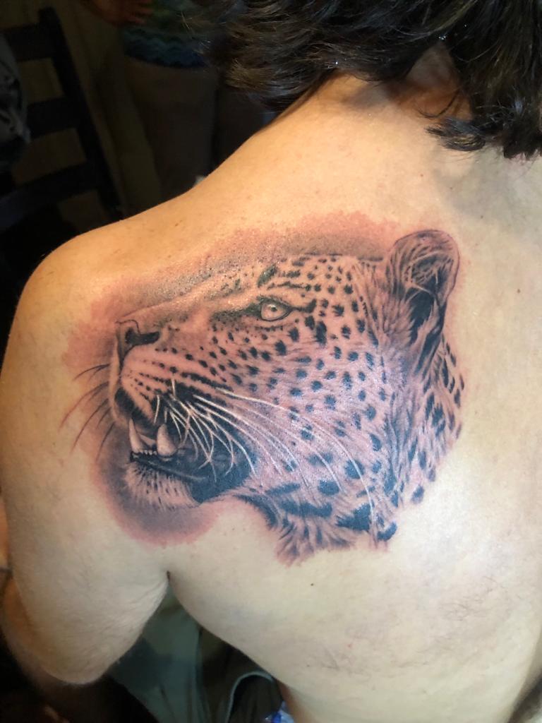 Leopard