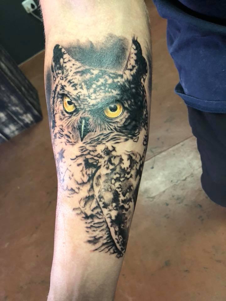 Owl