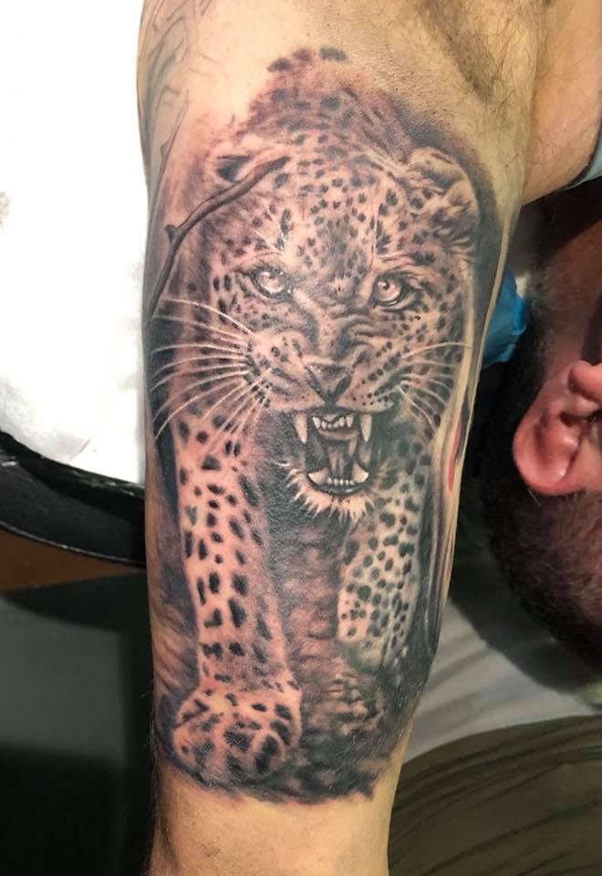 Snarling Leopard